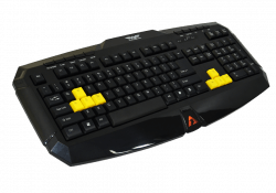 AK-300